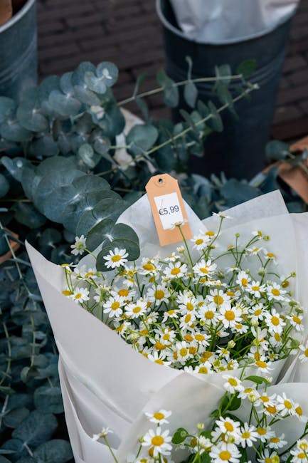 A bouquet of fresh daisy flowers with white petals and yellow centers, wrapped in white paper and adorned with a beige price tag displaying £5.99. The arrangement is placed on a surface with a backgr
