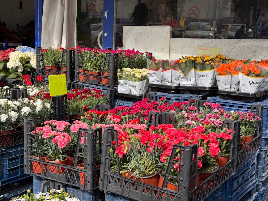 A display of various potted flowering plants arranged in black plastic crates outside a flower shop, featuring pink, red, white, yellow, and orange blooms. The flowers include carnations and other pot